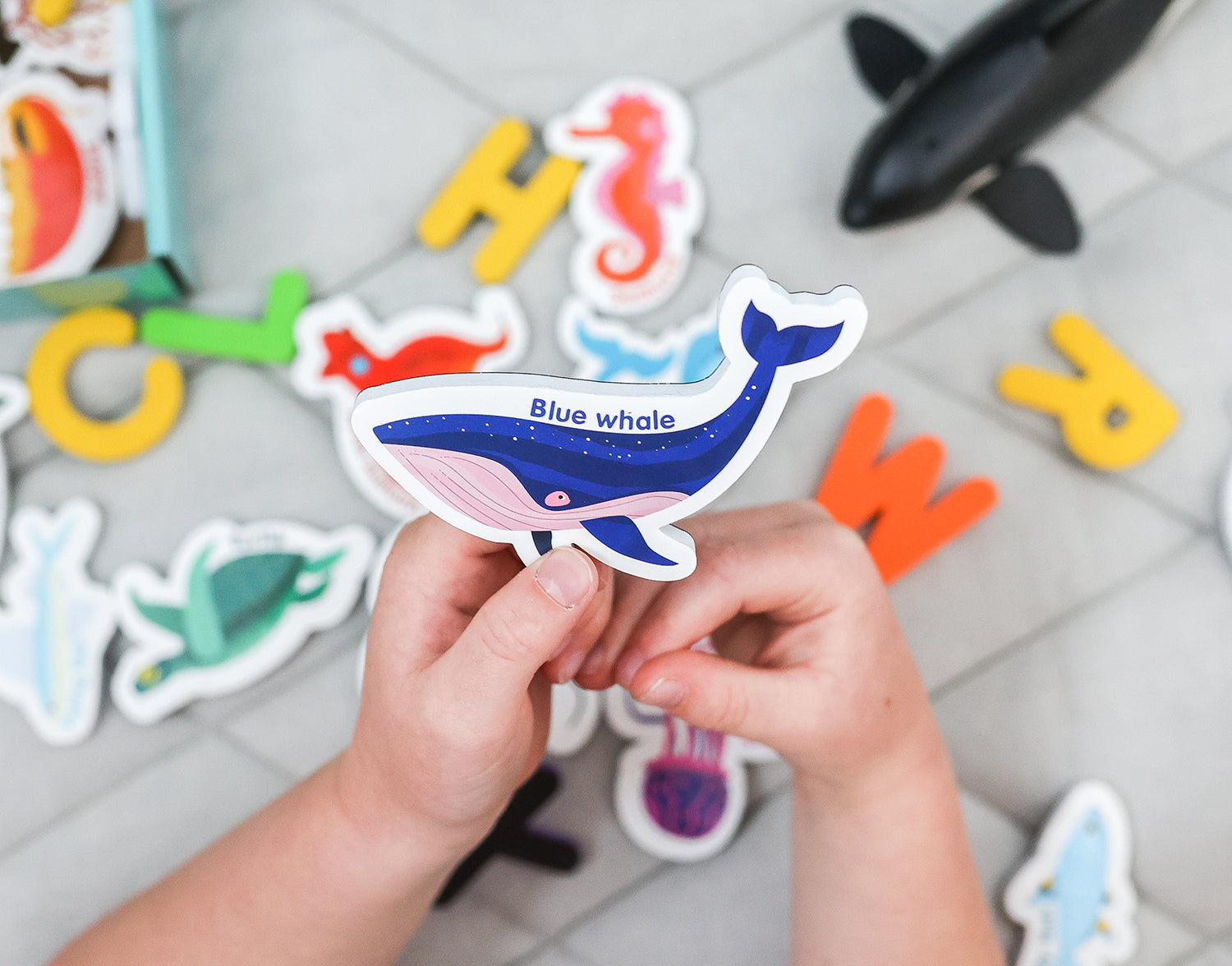Curious Columbus Magnetic Sea Creatures and Letters – 52 Piece Alphabet & Ocean Magnet Set