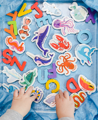 Curious Columbus Magnetic Sea Creatures and Letters – 52 Piece Alphabet &amp; Ocean Magnet Set