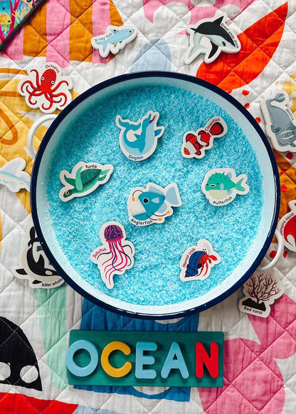 Curious Columbus Magnetic Sea Creatures and Letters – 52 Piece Alphabet &amp; Ocean Magnet Set