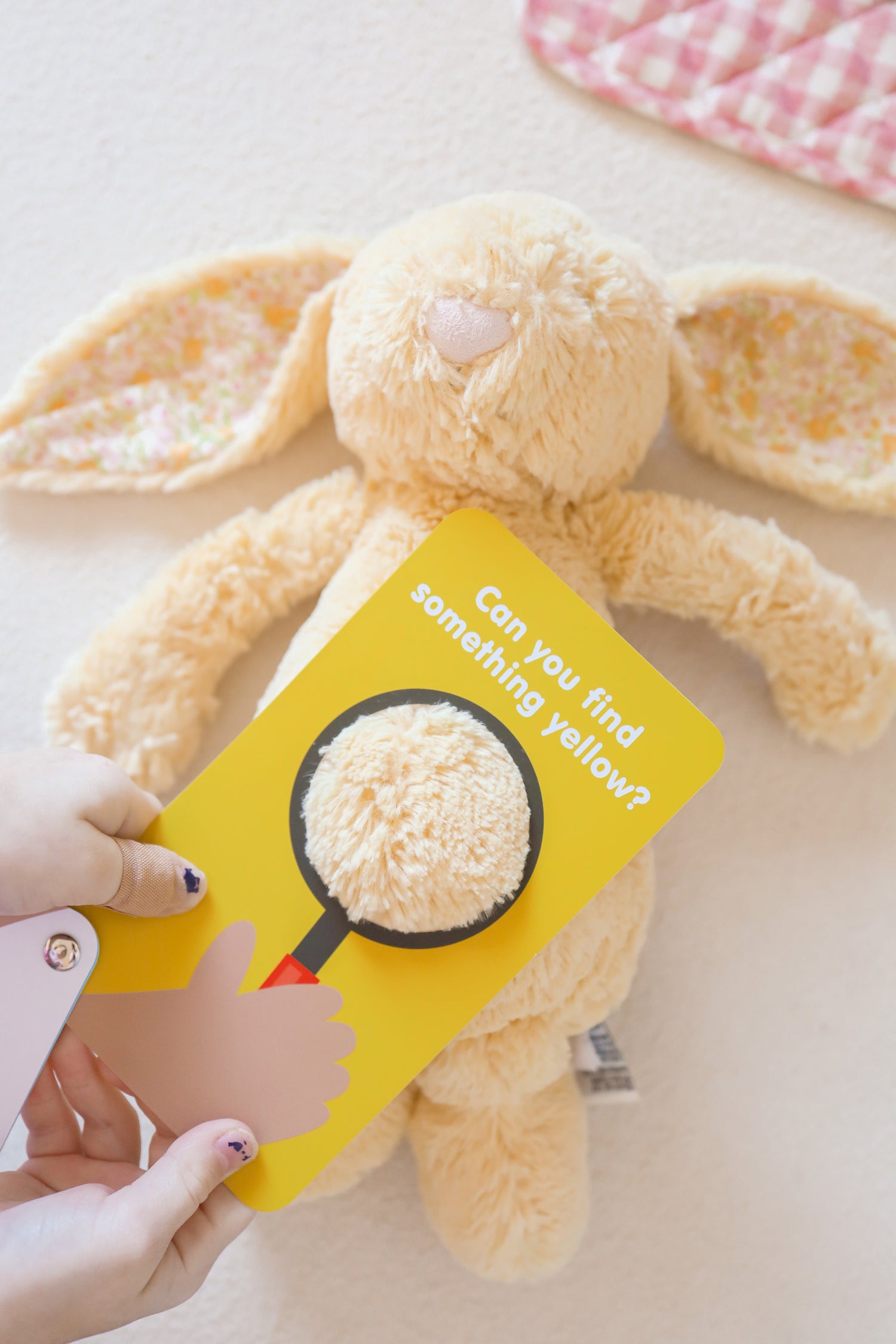 Curious Columbus Flashcards &amp; Magnetic Colours and Shapes – 26 Piece Learning Set