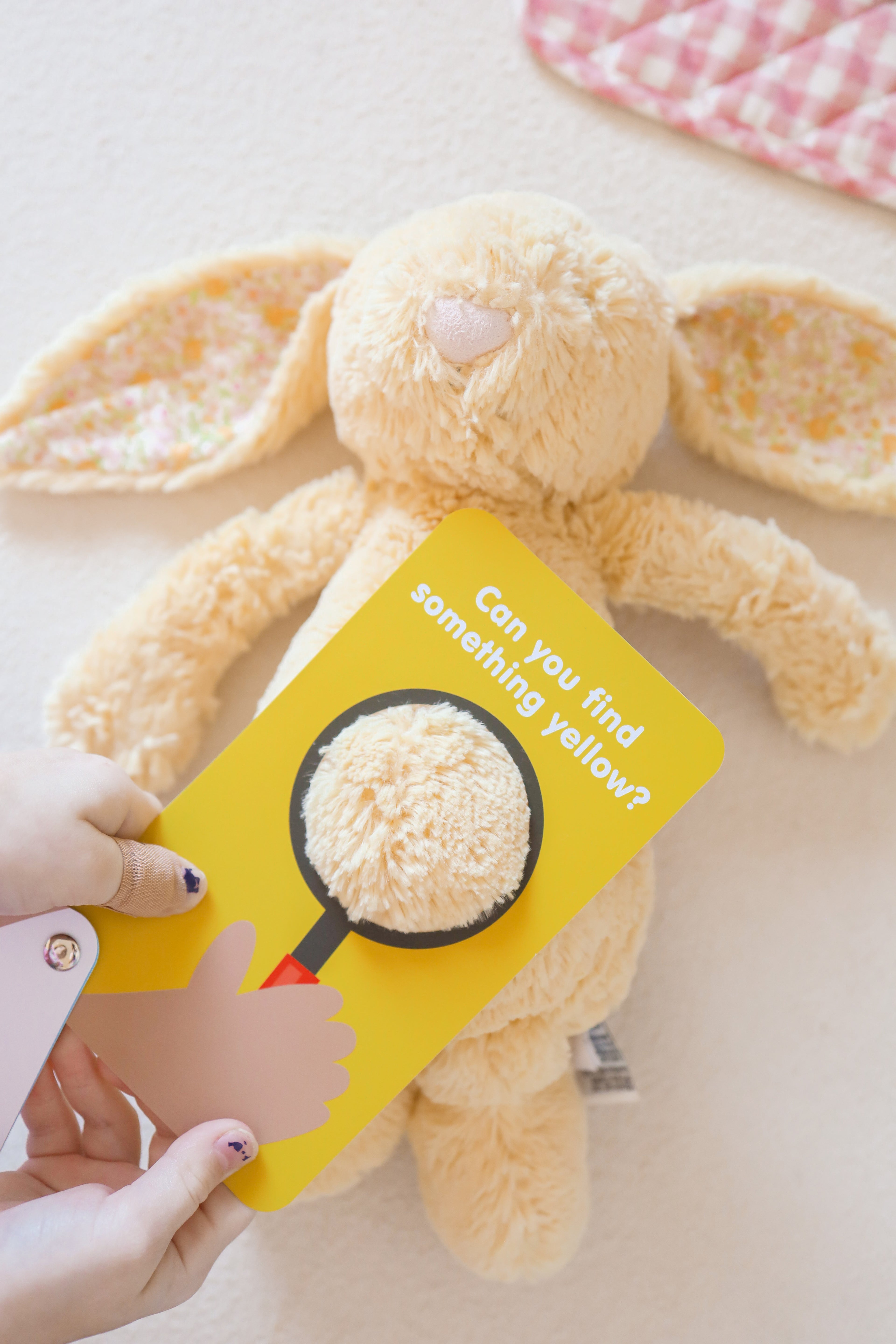 Curious Columbus Flashcards &amp; Magnetic Colours and Shapes – 26 Piece Learning Set