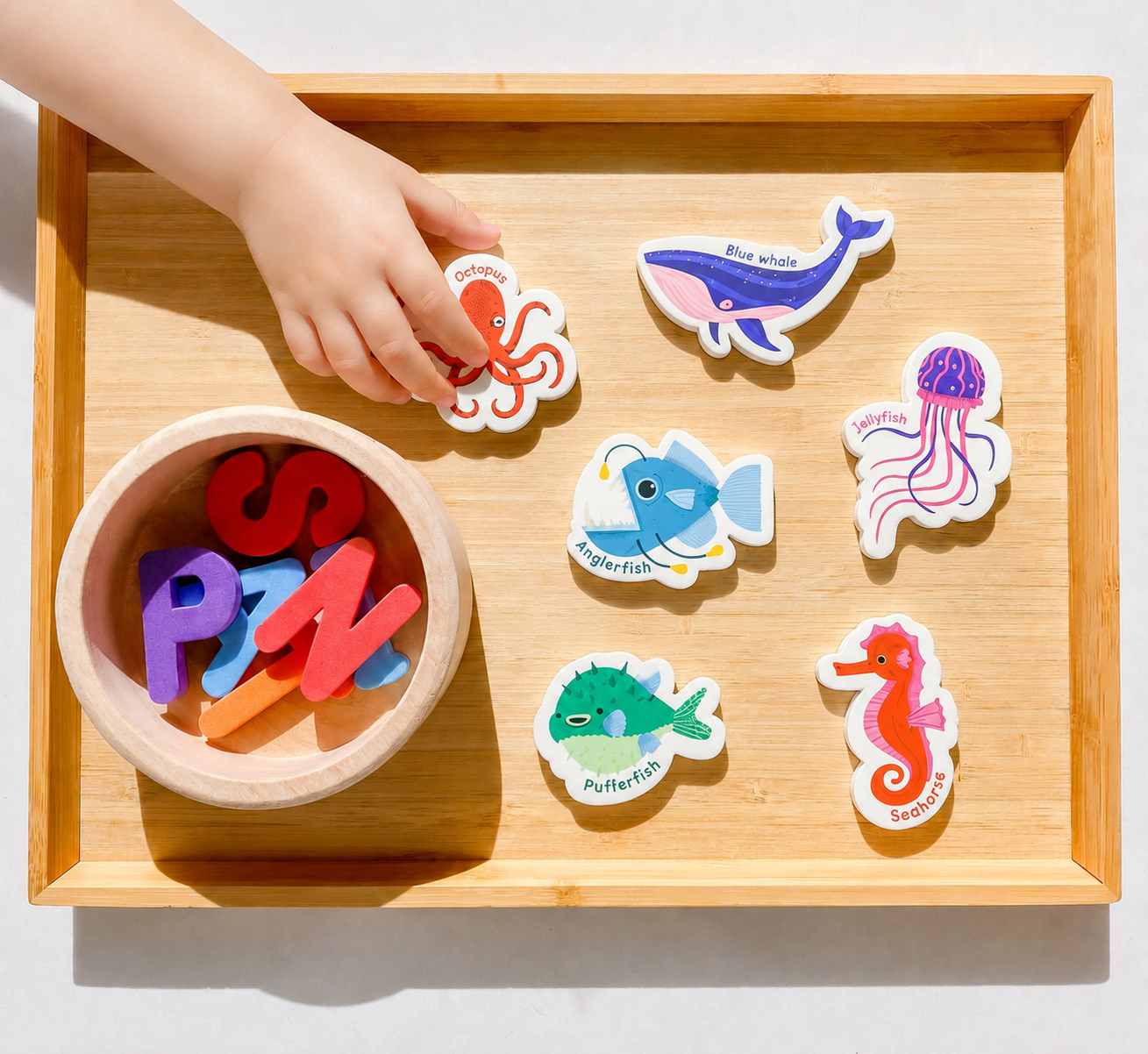 Curious Columbus Magnetic Sea Creatures and Letters – 52 Piece Alphabet &amp; Ocean Magnet Set