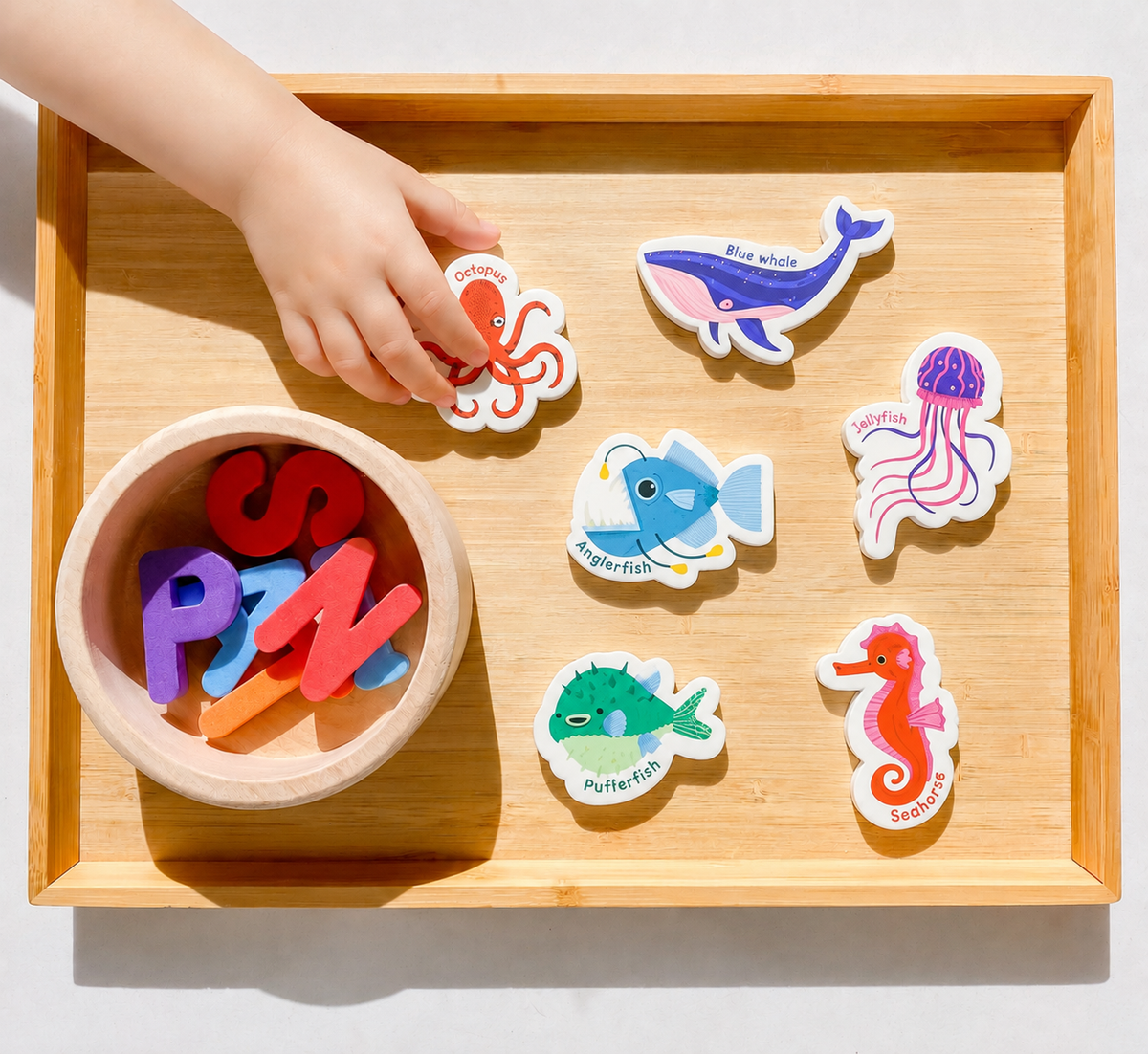 Curious Columbus Magnetic Sea Creatures and Letters – 52 Piece Alphabet &amp; Ocean Magnet Set
