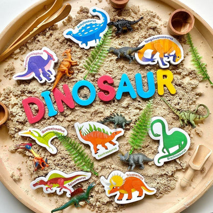 Curious Columbus Magnetic Dinoaurs – 48 Piece Magnetic Play Set
