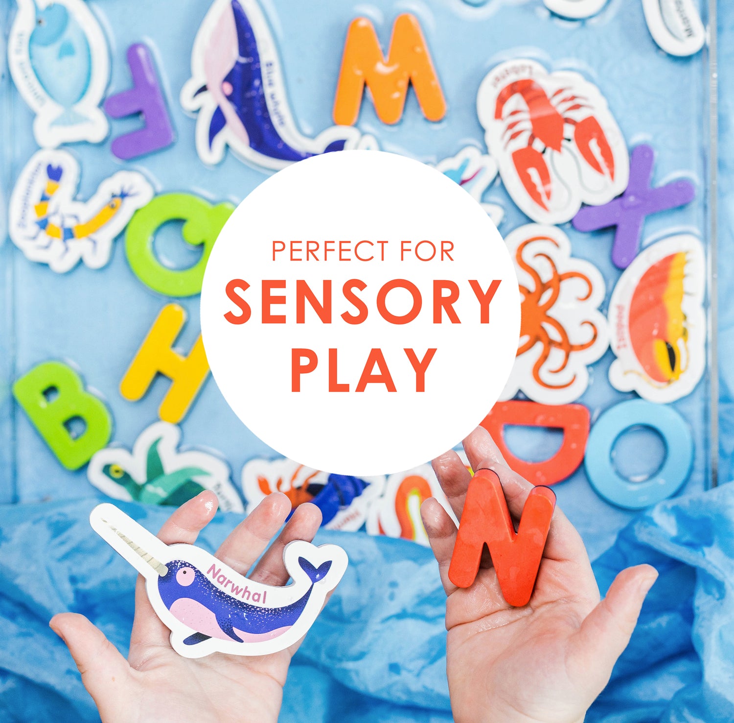 Curious Columbus Magnetic Sea Creatures and Letters – 52 Piece Alphabet &amp; Ocean Magnet Set